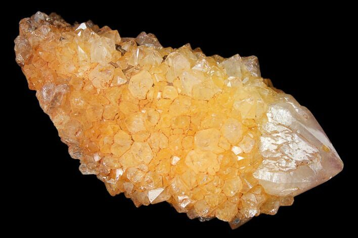 Sunshine Cactus Quartz Crystal - South Africa #122308